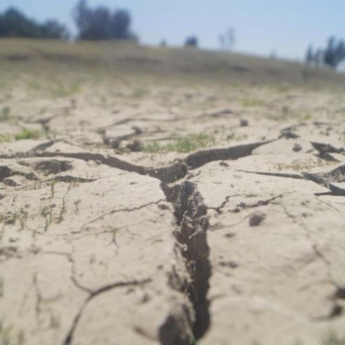 Atraviesan 59 municipios de Oaxaca sequía extrema; Mixteca y Sierra Sur, las más afectadas